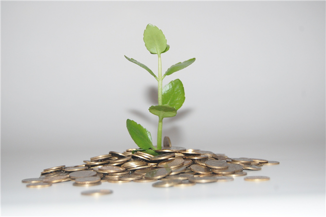 Grüne Start-ups: Leitfaden zur Nachhaltigkeitsbewertung publiziert. © Mizianitka / pixabay.com