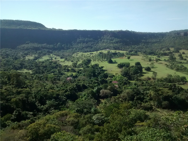 Mato Grosso ist einer der wichtigsten Bundesstaaten für die landwirtschaftliche Produktion in Brasilien und eine der artenreichsten und zugleich am stärksten bedrohten Regionen der Welt. © Walmirbatata, pixabay.com