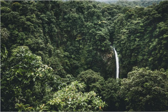  Der größte Beschleuniger für den massiven Anstieg der brasilianischen Emissionen ist die Abholzung und Degradation der Regenwälder. © ÖDP Bundesverband