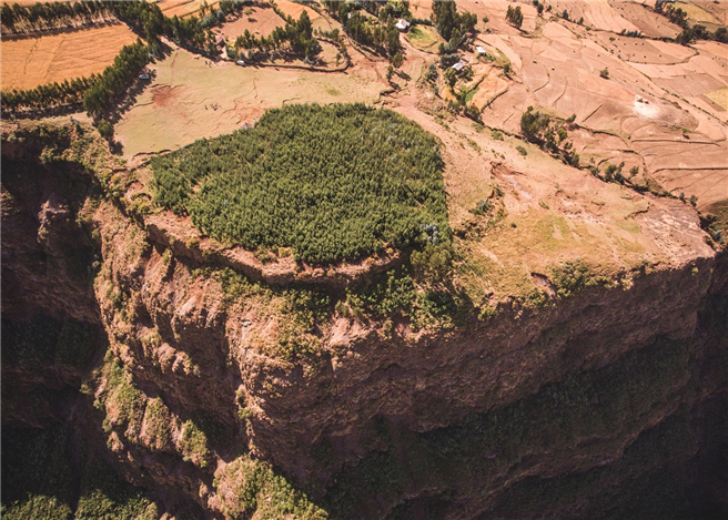 Ein Wald in nur drei Jahren in Äthiopien: Aufforstungsgebiet mit über 60.000 Bäumen. © Marcus Werner