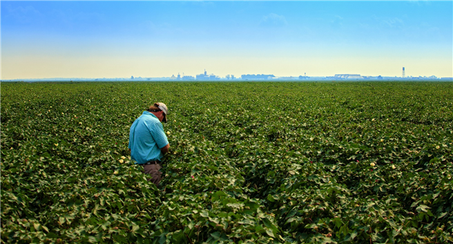 Die meisten US-Farmen sind Familienunternehmen, denen das Land gehört, das sie bewirtschaften. © Lottmann PR