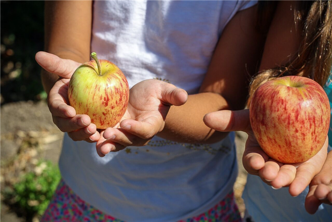 Die Erde und ihre Früchte neu wahrnehmen - eine Möglichkeit, ein 'Erdfest' zu feiern © Creative Commons