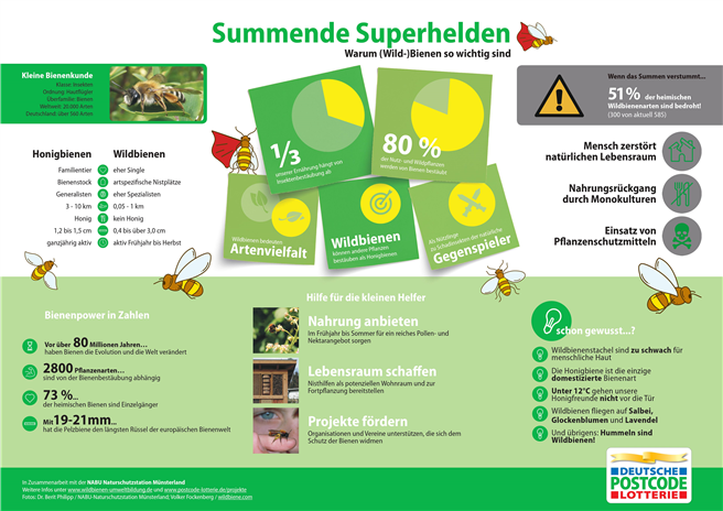 Summende Superhelden: Warum (Wild-)Bienen so wichtig sind. © Deutsche Postcode Lotterie