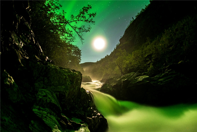  „Magie der Fjorde' vom Filmemacher Jan Haft schickt die Zuschauer*innen auf eine Reise in die Unterwasserwunderwelt der norwegischen Fjorde. © NaturVision, Magie der Fjorde