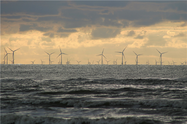 Ein wichtiger Tagesordnungspunkt beim Meeresumweltsymposium widmete sich dem Thema ‚Offshore-Windenergie und Seevögel‘ © David_Kaspar, pixabay.com