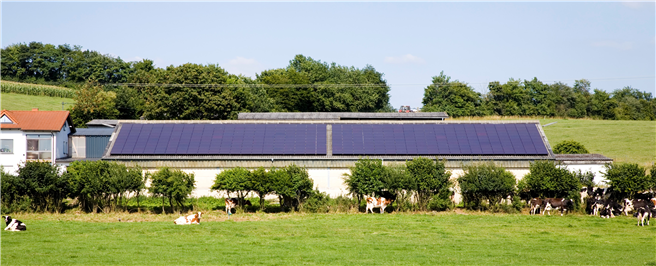 Die rds Dachkampagne ersetzt bundesweit alte Agrar-Asbestdächer durch Solaranlagen. © iStock-schmidt-z