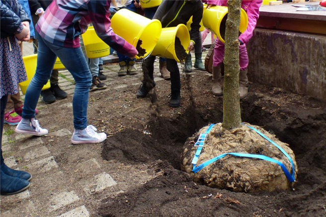 Baumpflanzaktion - die Schülerinnen und Schüler helfen fleißig mit. © Stadt Korntal-Münchingen 
