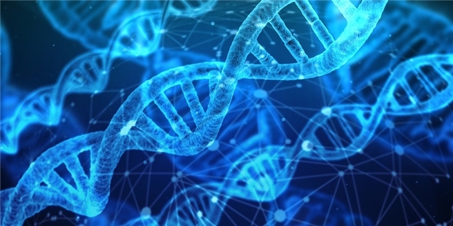 DNA © geralt, pixabay.com