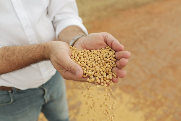 Bayer unterstützt die Produktion zertifizierter Sojabohnen in Argentinien. © Bayer AG