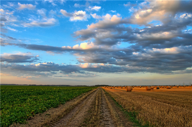 Nur eine ökologische Landwirtschaft kann zehn Milliarden Menschen ernähren. © wobogre, pixabay.com