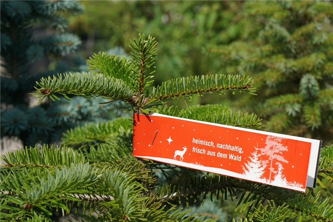Trägt ein Weihnachtsbaum dieses Schild, stammt er aus nachhaltigen, PEFC-zertifizierten Weihnachtsbaumkulturen. © PEFC