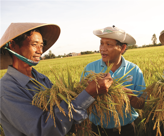 Reis ist in Asien Nahrungsmittel Nummer eins – und der Anbau fordert von den Kleinbauern viel Handarbeit. Bayer bietet bedarfgerechte Lösungen, die Reisbauern Zeit und Arbeit sparen und zur Sicherung der Ernten beitragen. © Bayer AG