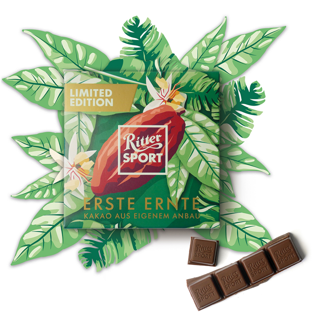 Die eigene Kakaoplantage von Ritter Sport trägt inzwischen buchstäblich Früchte. © Alfred Ritter GmbH & Co. KG