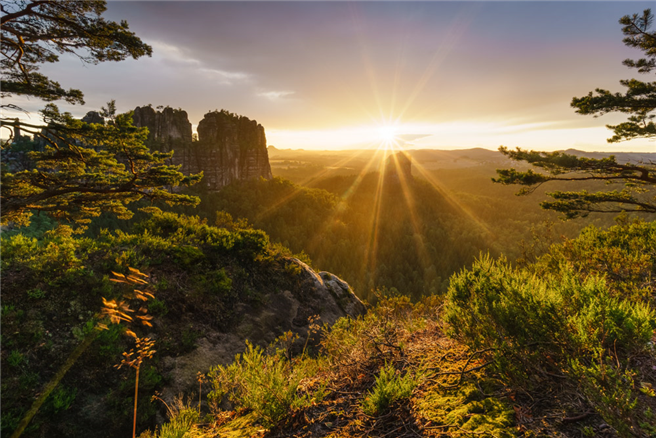 Die Schrammsteine mit dem Falkenstein im Elbsandsteingebirge. © Philipp Zieger/Tourismusverband Sächsische Schweiz