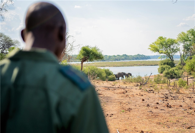 Im 'Field Guiding Training' im Bwabwata National Park wurde u.a. das Beobachten von Elefanten und das Lesen ihrer Spuren geübt. © Gebeco