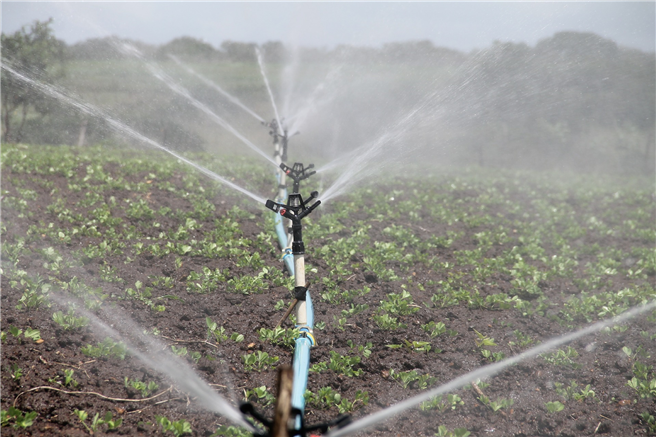 Die Bewässerung ist für die Nahrungsmittelproduktion notwendig - mit globalen Auswirkungen auf die Wirtschaft und Gesellschaft. © feraugustodesign, pixabay.com