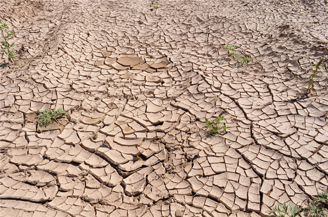 Vom Klimawandel verursachte Dürren verstärken bereits bestehende Konflikte und Krisen. © PublicDomainPictures, pixabay