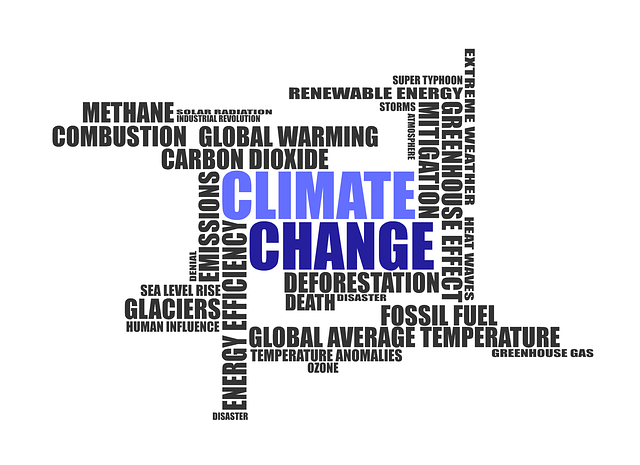Der Entwurf des Klimaschutzgesetzes müsste gemessen an der Klimakrise noch deutlich ehrgeiziger ausfallen. © typographyimages, pixabay.com