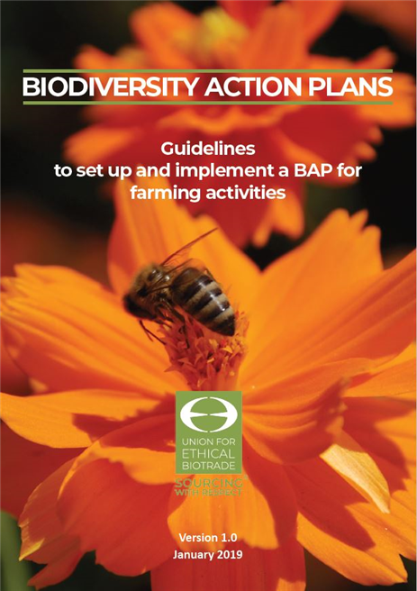 Der Leitfaden unterstützt Unternehmen bei der strategischen Planung zum Schutz der biologischen Vielfalt. © GNF/UEBT