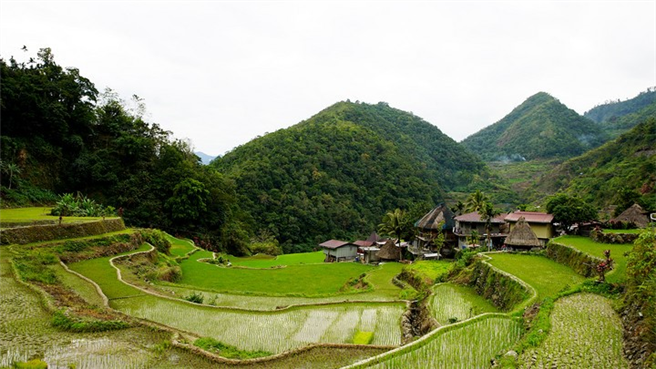 Die Batad-Reisterrassen und die Bangaan-Reisterrassen gehören zum UNESCO-Weltkulturerbe. Copyright: ZDF/Marie-Therese Rompf