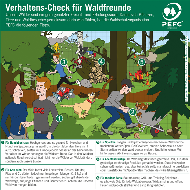 Welche Dinge Besucher im Wald besser tun oder lassen sollten, zeigt auf charmante Art die neue PEFC-Infografik. © PEFC Deutschland e. V.