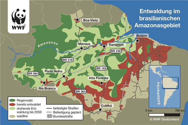 Entwaldung im brasilianischen Amazonasgebiet. © WWF