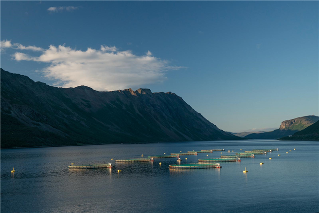 Atlantische Lachsfischerei, die fast 150 Netzgehege in ihrem Fjord hat © Patagonia Films