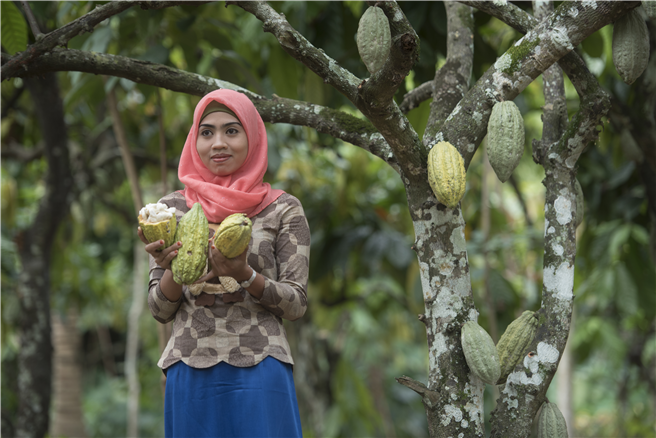 Kakaobäuerinnen auf der Plantage. © Mondelez 