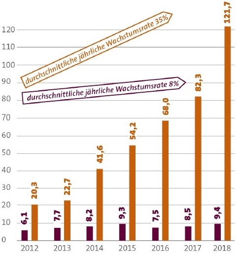 Anlagevolumina (Mrd. €) und Zuwachsraten (%) bei verschiedenen Anlegergruppen in Deutschland © FNG (2019)