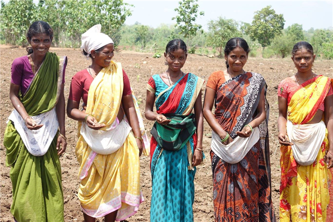Das gentechnisch unveränderte Saatgut ist in Indien ein knappes Gut und für die Kleinstbauern in Adilabad kaum zu beschaffen. Dibella finanziert den Kauf vor. © Dibella