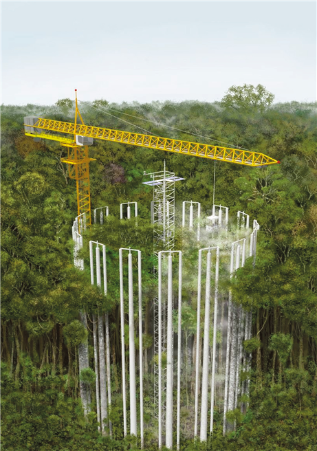 Technische Illustration des AmazonFACE Experiments im brasilianischen Regenwald. © AmazonFACE