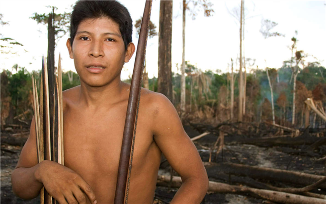 Viele indigene Gebiete in Brasilien werden seit Jahren von Farmern und Holzfällern abgebrannt, aber die Brände 2019 sind besonders schlimm. Der Awá-Mann Hemokomaá steht auf diesem Bild von 2010 im Wald seines Volkes, nachdem dieser niedergebrannt wurde. © Fiona Watson/Survival