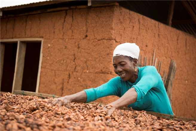 Über 60 Prozent der 2018 verkauften Schokoartikel enthielten 'nachhaltig zertifizierten' Kakao. © Kate Fishpool Fairtrade Foundation