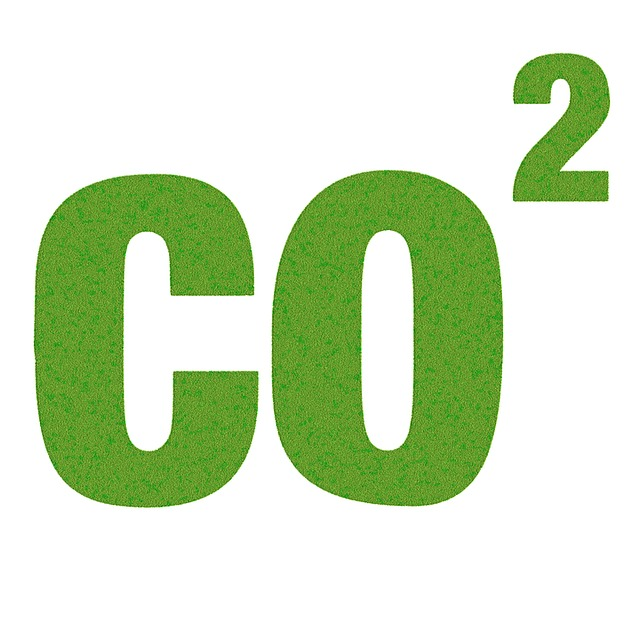 Unternehmen sehen große Chancen im Klimaschutzgesetz und CO2-Preis. © TheDigitalArtist, pixabay.com
