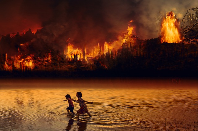 Die Waldbrände im Amazonas sind eine große Gefahr für zum Teil mehr als zehn Jahre alte Agroforstparzellen. © pixundfertig, pixabay.com