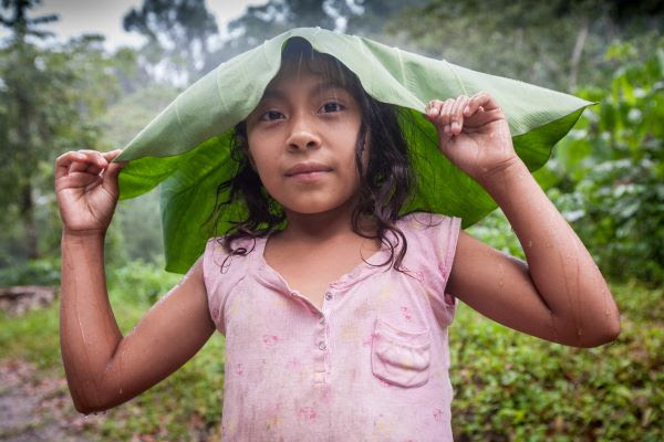 Für Klimagerechtigkeit muss das globale Geschäftsgebaren geändert werden. © Fairtrade / Sean Hawkey