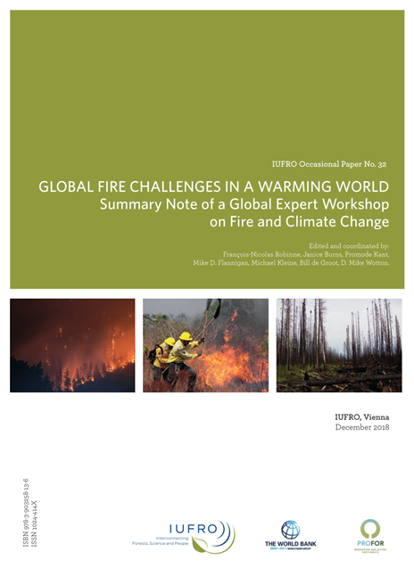 Der Bericht trägt dazu bei, Risiken zu erkennen, Zusammenhänge zu verstehen und entsprechend zu handeln, um Katastrophen zu verhindern. © IUFRO