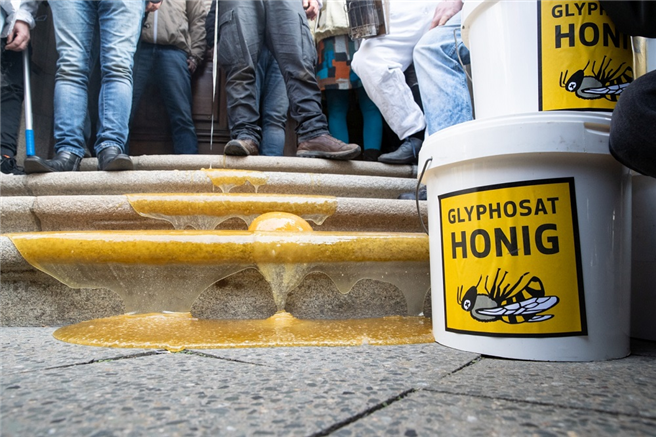 Wegen zu hoher Belastung mit Glyphosat darf der Honig nicht verkauft werden. Der Gegenwert des Schadens beträgt rund 60.000 Euro. Die eigentlich erfolgreiche Imkerei steht dadurch jetzt vor dem Aus. © Aurelia Stiftung 