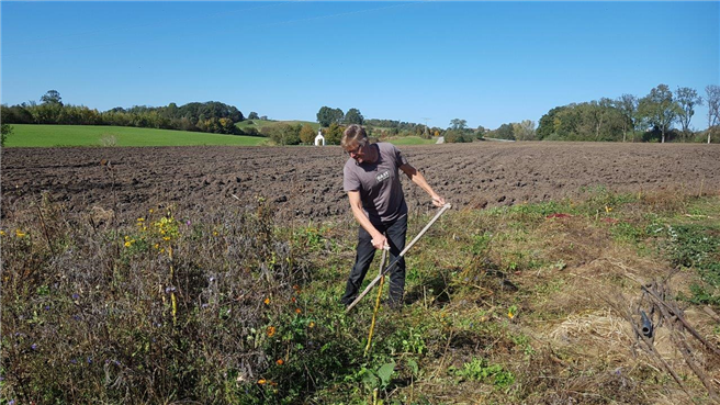 forum unterstützt das Anlegen von Bienenweiden und Herausgeber Fritz Lietsch greift dabei auch selbst zur Sense wenn es um die Pflege der Flächen geht. Auf dem forum-Glücksacker betreiben 30 Familien Gemüseanbau und natürlich dürfen auch dort die Bienen nicht fehlen. © Lietsch