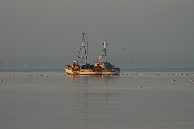 Die globale Überfischung stellt laut Weltbiodiversitätsrat den gravierendsten Eingriff in die marinen Ökosysteme dar. © Fritz_the_Cat, pixabay.com