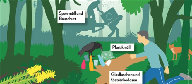 Die PEFC-Infografik zeigt einige Gefahren, die von Müll im Wald ausgehen. Die vollständige Graphik sehen Sie, wenn Sie auf das Bild klicken. © PEFC Deutschland e.V.