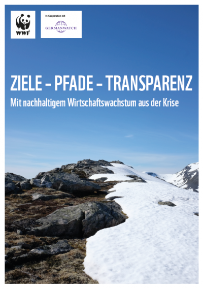 Ziele - Pfade - Transparenz: Mit nachhaltigem Wirtschaftswachstum aus der Krise © Germanwatch e. V.