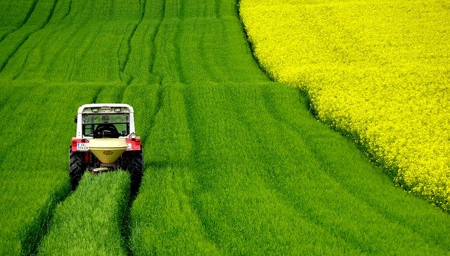 Deutschland muss eine nationale Strategie zur Verankerung von Klima- und Naturschutz in der Gemeinsamen EU-Agrarpolitik vorlegen und den Green Deal umsetzen. © wurliburli, pixabay.com