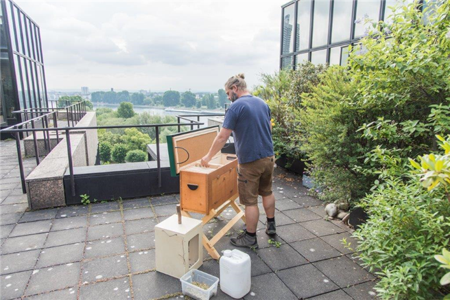 Imker Sebastian Klein baut die Bienenboxen auf der DEVK Zentrale auf – mit Blick auf den Rhein. © DEVK