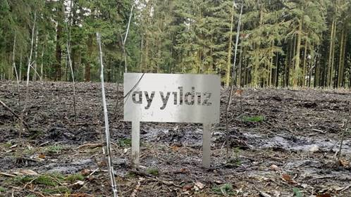 AY YILDIZ unterstützt die langfristigen Klimaschutz-Ziele von PLANT-MY-TREE® © AY YILDIZ