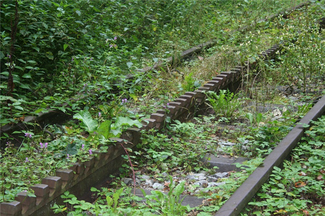 Die Wiedernutzung stillgelegter Eisenbahnstrecken ist unverzichtbarer Teil einer Wachstumsstrategie, die Schluss macht mit dem jahrzehntelangen Schrumpfen des Schienennetzes. © Uta Dobler