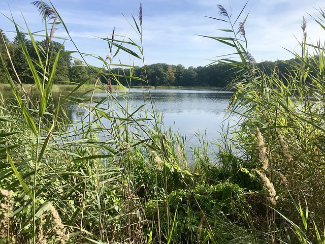 Schutzzonen sollten immer beachtet, mit der Tier- und Pflanzenwelt im See und an den Ufern sollte stets pfleglich umgegangen werden. © Cairomoon, pixabay.com 