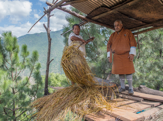 Bio-Anbaupartnerschaft Bhutan für Lemongrass und Rosa alba © PRIMAVERA