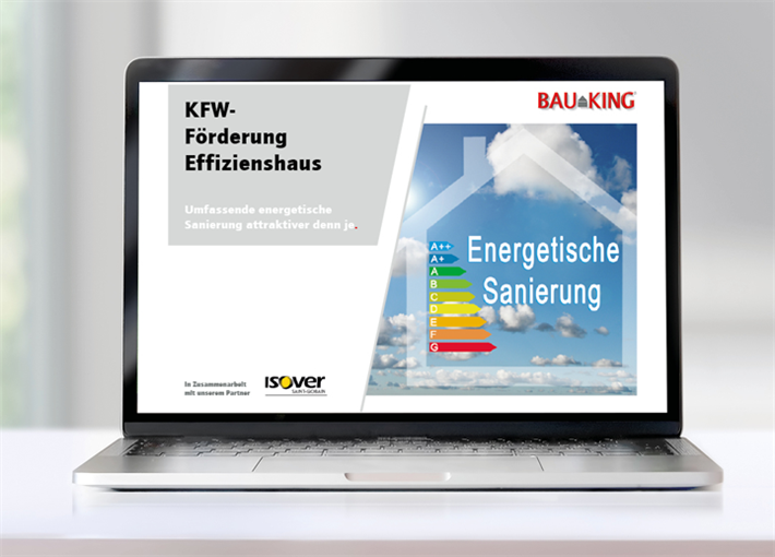 Tipps zu Fördermöglichkeiten für energetische Sanierungsmaßnahmen finden Immobilienbesitzer auf der neuen Service-Website https://wissen.bauking.de/foerderung-von-umbauten. © BAUKING GmbH