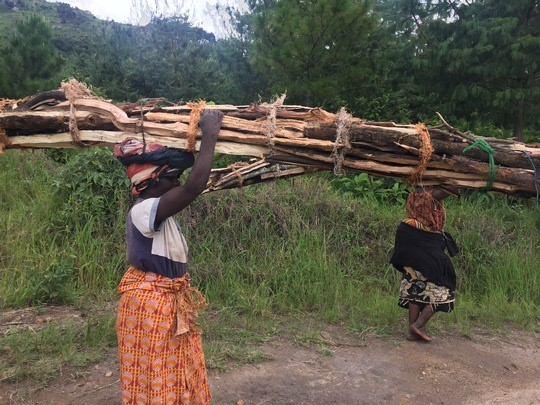 Brennholz ist für diese Frauen in Malawi ein lebenswichtiger Rohstoff © Jennifer Zavaleta Cheek